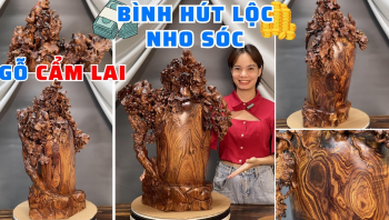 Bình tài lộc Nho Sóc